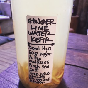 ginger water kefir